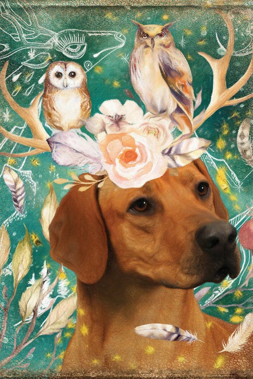 Rhodesian Ridgeback With Antlers And Owls