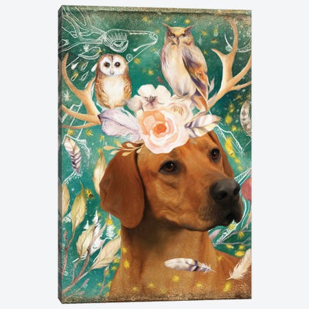Rhodesian Ridgeback With Antlers And Owls Canvas Print #NDG1134} by Nobility Dogs Canvas Art