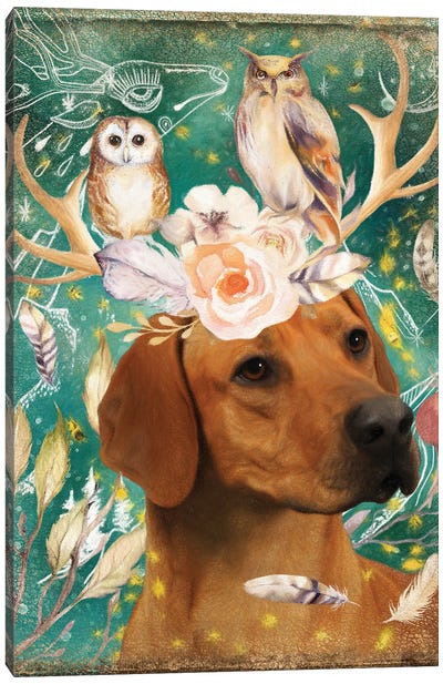 Rhodesian Ridgeback With Antlers And Owls Canvas Art Print - Rhodesian Ridgeback Art