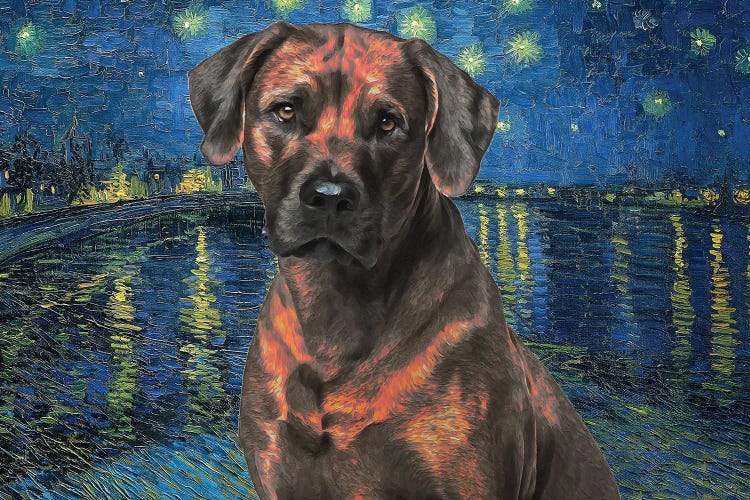 Rhodesian Ridgeback Starry Night Over The Rhone