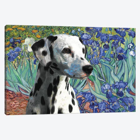 Dalmatian Dog Irises Canvas Print #NDG114} by Nobility Dogs Art Print