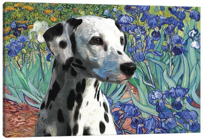 Dalmatian Dog Irises Canvas Art Print - Dalmatian Art