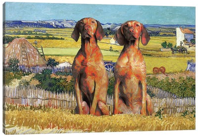 Vizsla Harvest At La Crau Canvas Art Print - Nobility Dogs