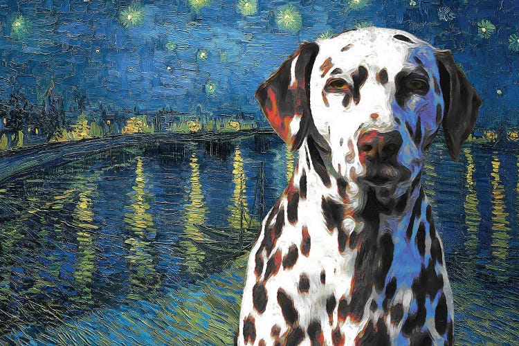 Dalmatian Starry Night Over The Rhone