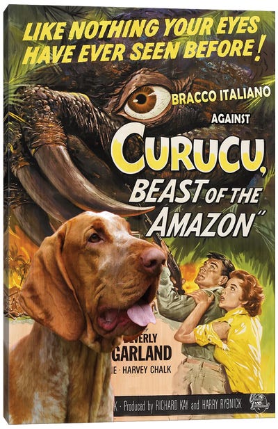 Bracco Italiano Curucu Movie Canvas Art Print - Vintage Movie Posters