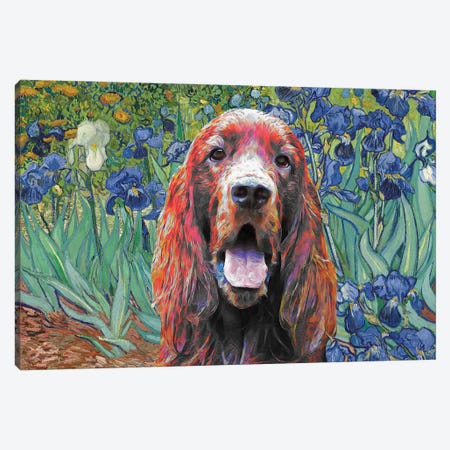 Irish Setter Irises Canvas Print #NDG117} by Nobility Dogs Canvas Print