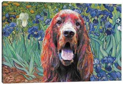 Irish Setter Irises Canvas Art Print - Nobility Dogs
