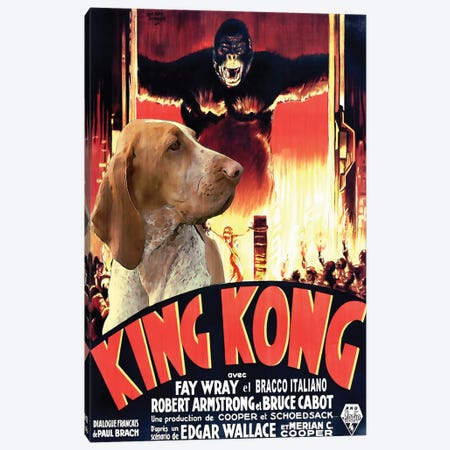 Bracco Italiano King Kong Movie Canvas Print #NDG1180} by Nobility Dogs Canvas Wall Art