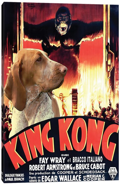 Bracco Italiano King Kong Movie Canvas Art Print