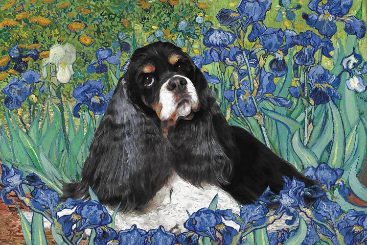 Cocker Spaniel Irises