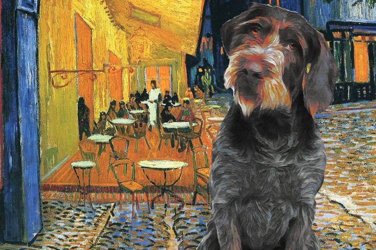 German Wirehaired Pointer Café Terrace At Night