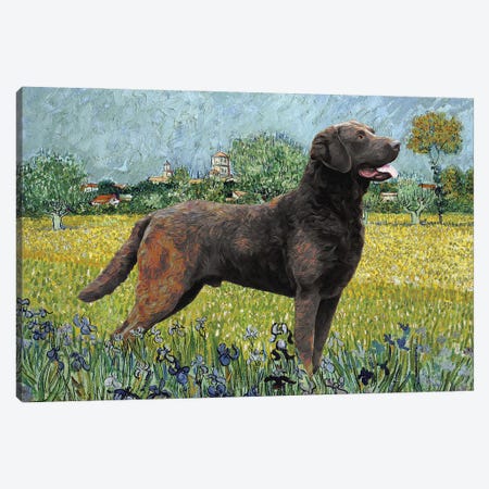 Chesapeake Bay Retriever View Of Arles With Irises Canvas Print #NDG121} by Nobility Dogs Canvas Art Print