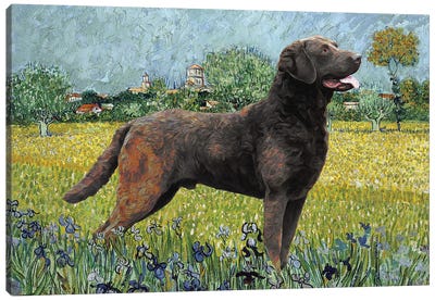 Chesapeake Bay Retriever View Of Arles With Irises Canvas Art Print - Nobility Dogs