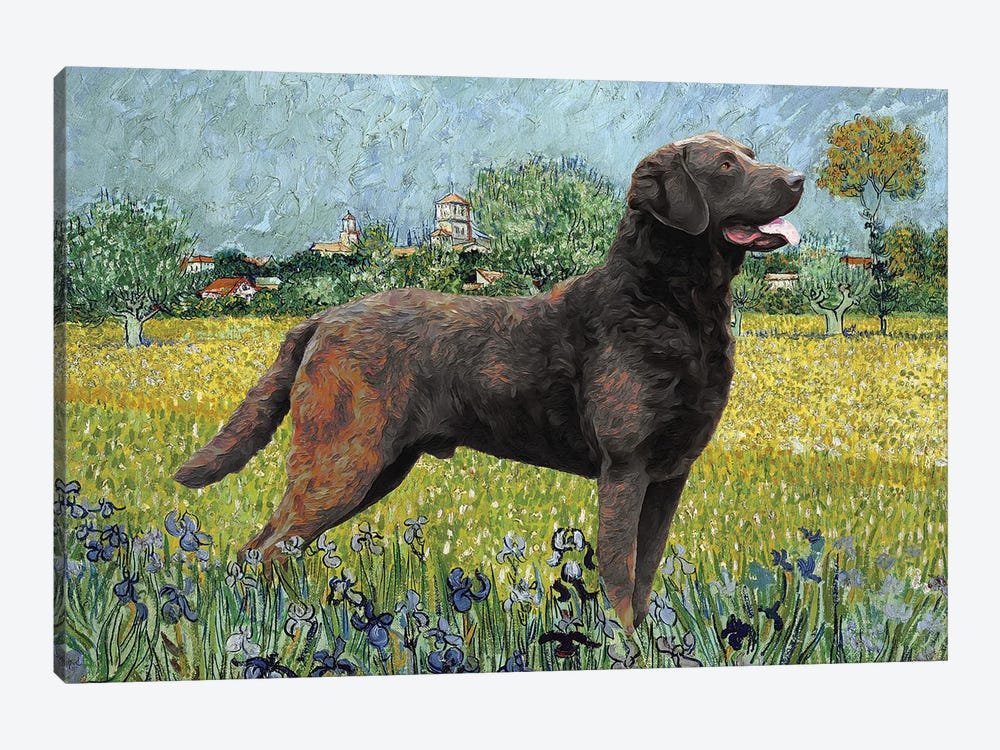 Chesapeake Bay Retriever View Of Arles With Irises by Nobility Dogs 1-piece Canvas Artwork
