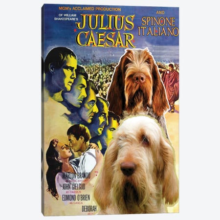 Spinone Italiano Julius Caesar Canvas Print #NDG1224} by Nobility Dogs Canvas Wall Art