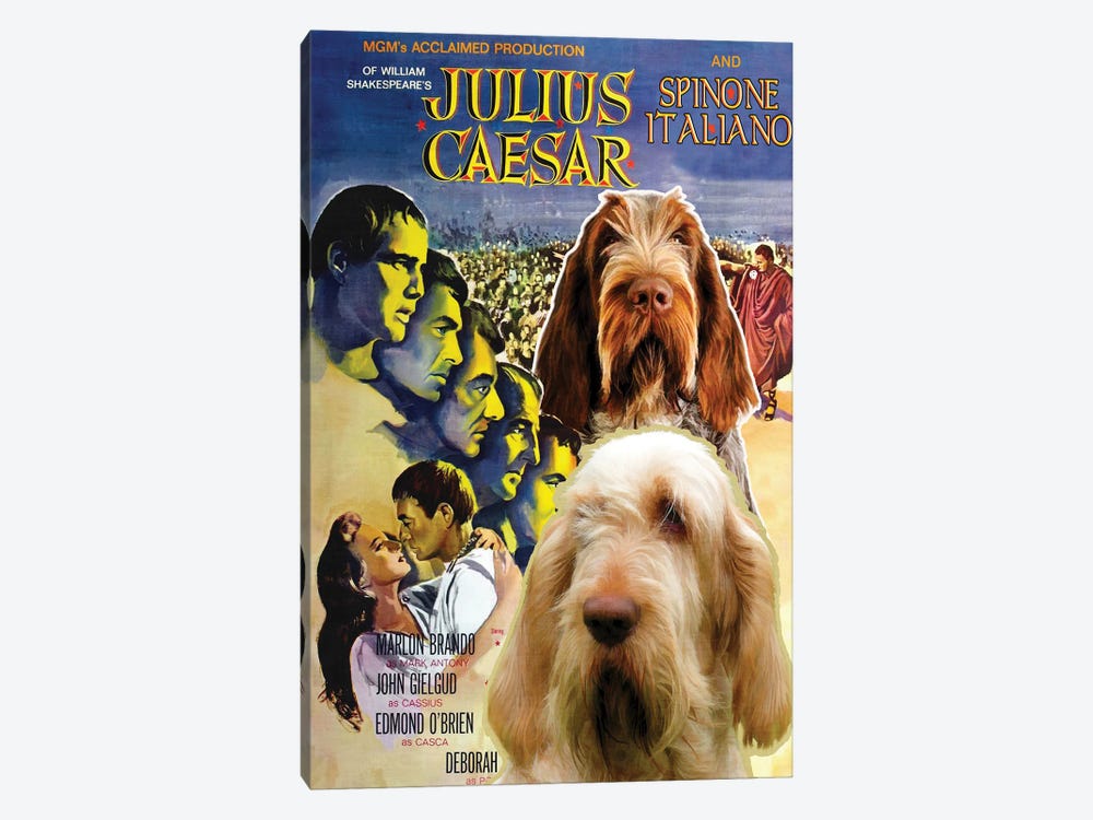 Spinone Italiano Julius Caesar by Nobility Dogs 1-piece Canvas Artwork