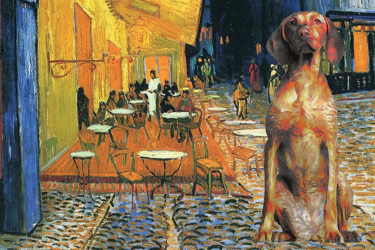 Vizsla Café Terrace At Night