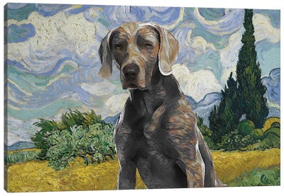 Weimaraner Wheat Field With Cypresses Canvas Art Print - Nobility Dogs