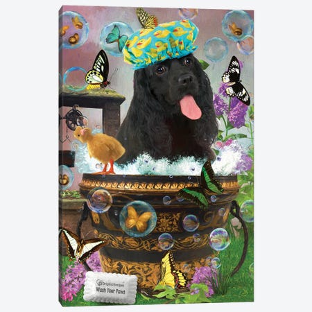 Black Cocker Spaniel Wash Your Paws Canvas Print #NDG1238} by Nobility Dogs Canvas Wall Art
