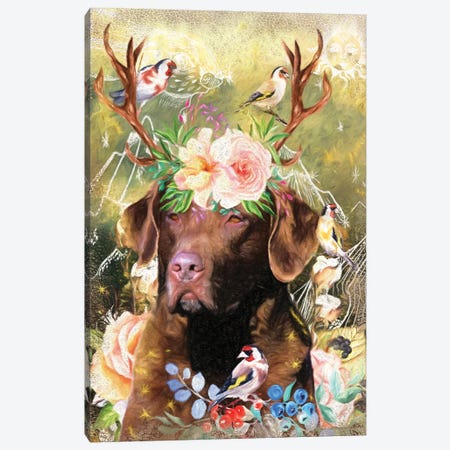 Chesapeake Bay Retriever And Goldfinch Canvas Print #NDG1247} by Nobility Dogs Canvas Wall Art