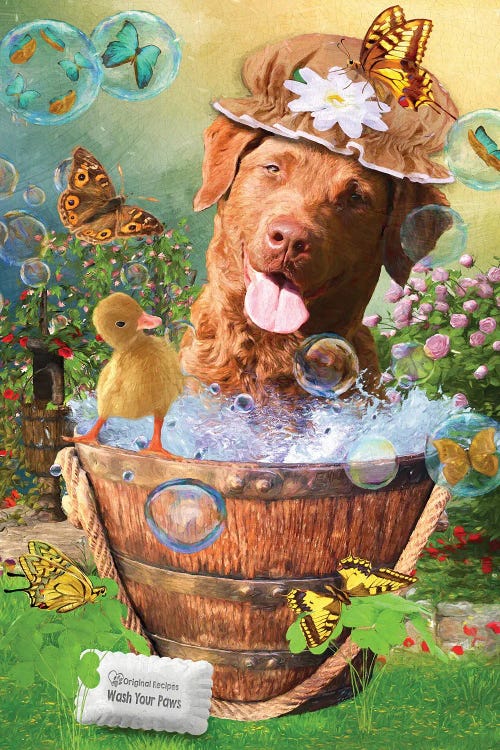 Chesapeake Bay Retriever Wash Your Paws