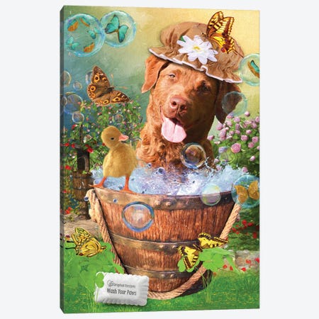 Chesapeake Bay Retriever Wash Your Paws Canvas Print #NDG1249} by Nobility Dogs Canvas Art Print