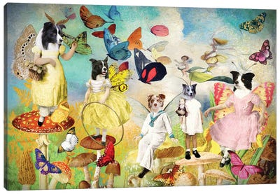 Border Collie Fairy Queen Canvas Art Print - Border Collie Art