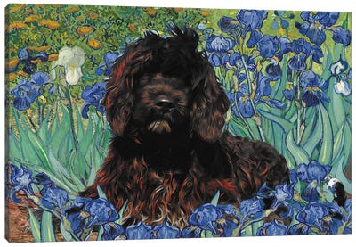 Portuguese Water Dog Irises Canvas Art Print - Portuguese Water Dog