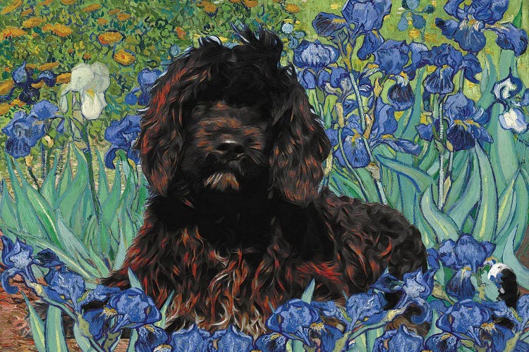 Portuguese Water Dog Irises