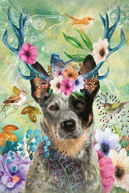 Australian Cattle Dog With Antlers