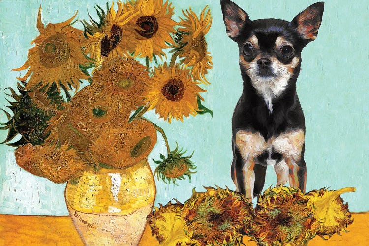 Chihuahua Sunflowers