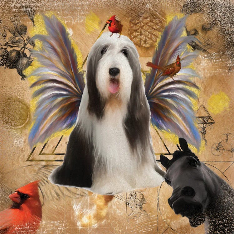 Bearded Collie Angel