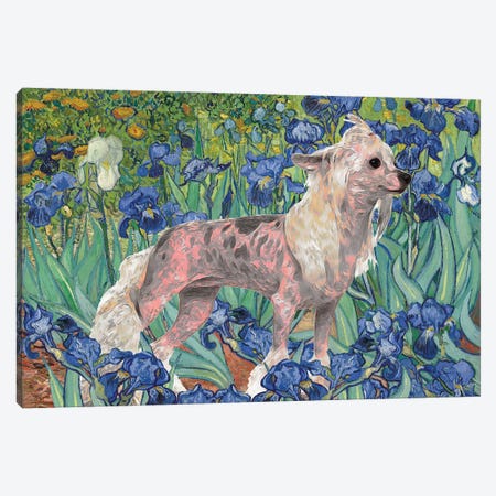 Chinese Crested Dog Irises Canvas Print #NDG130} by Nobility Dogs Canvas Art