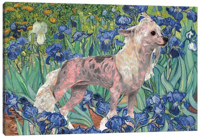 Chinese Crested Dog Irises Canvas Art Print