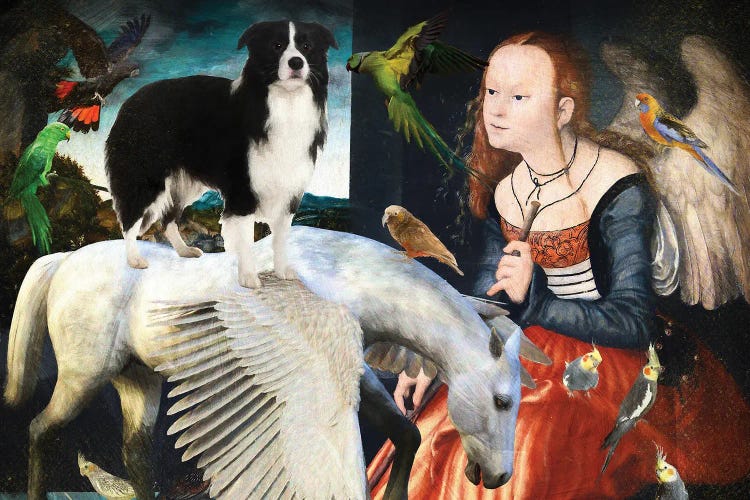 Border Collie, Angel And Pegasus