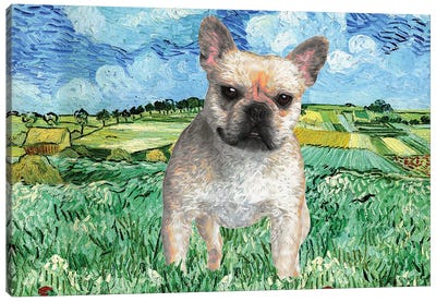 French Bulldog Frenchie The Plain Near Auvers Canvas Art Print - French Bulldog Art