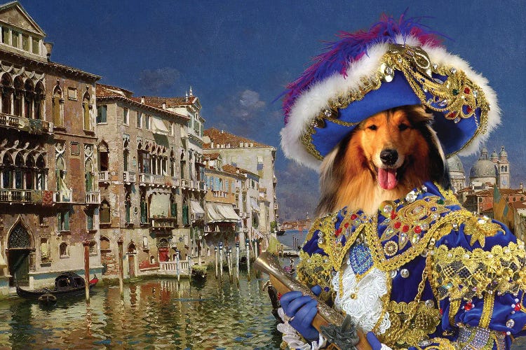 Rough Collie Venice