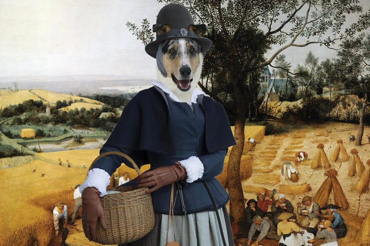 Smooth Collie The Harvesters