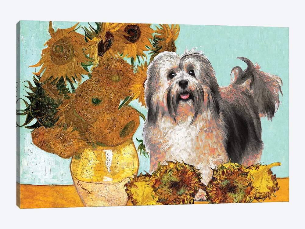 Havanese Dog Sunflowers by Nobility Dogs 1-piece Art Print