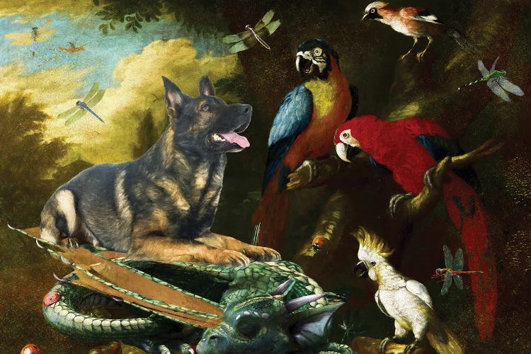 German Shepherd Two Macaws, Cockatoo And Dragon