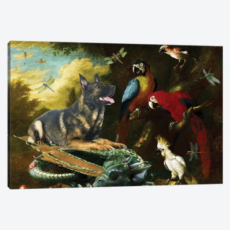 German Shepherd Two Macaws, Cockatoo And Dragon Canvas Print #NDG1347} by Nobility Dogs Canvas Art Print
