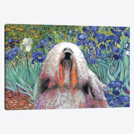 Lhasa Apso Irises Canvas Print #NDG135} by Nobility Dogs Canvas Art Print