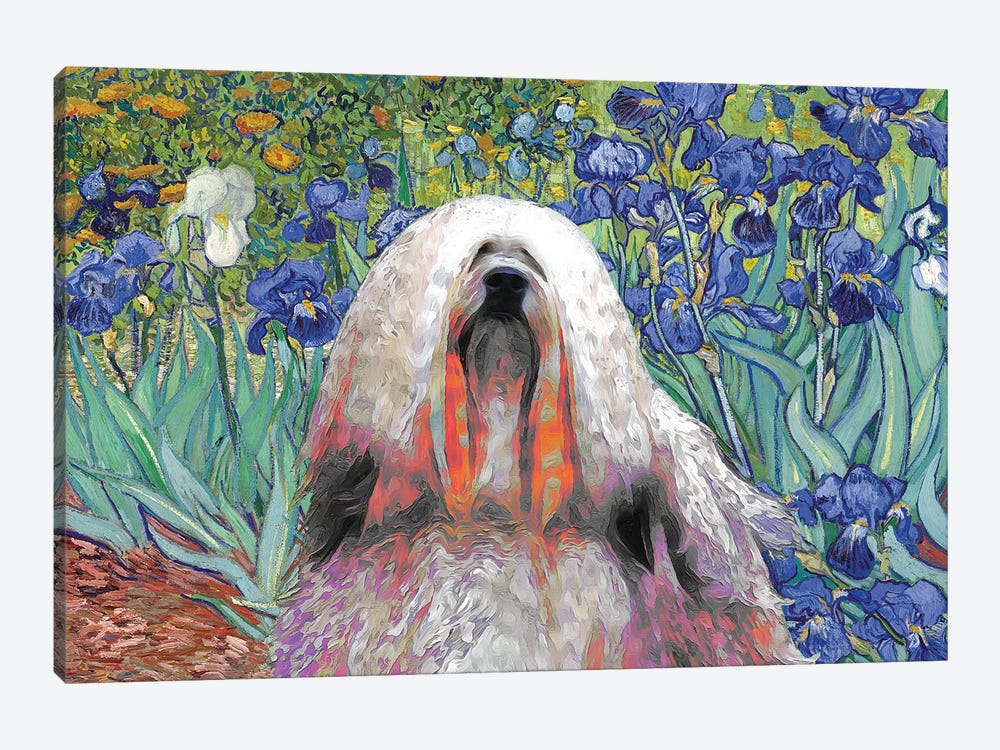 Lhasa Apso Irises by Nobility Dogs 1-piece Canvas Art Print