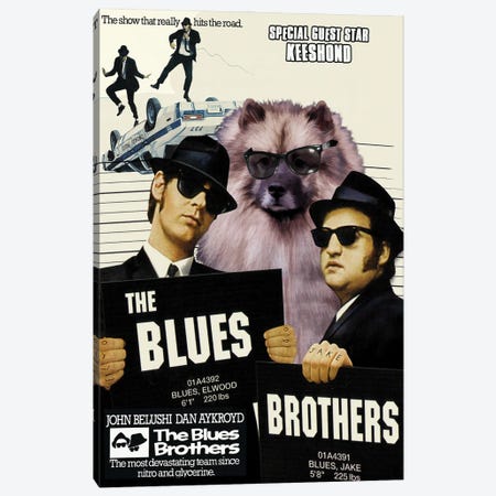 Keeshond The Blues Brothers Movie Canvas Print #NDG1371} by Nobility Dogs Art Print