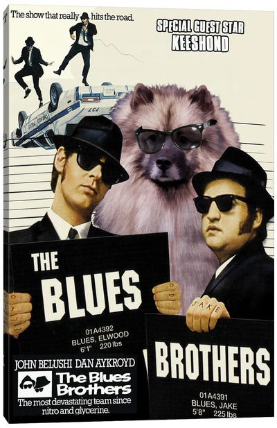 Keeshond The Blues Brothers Movie Canvas Art Print