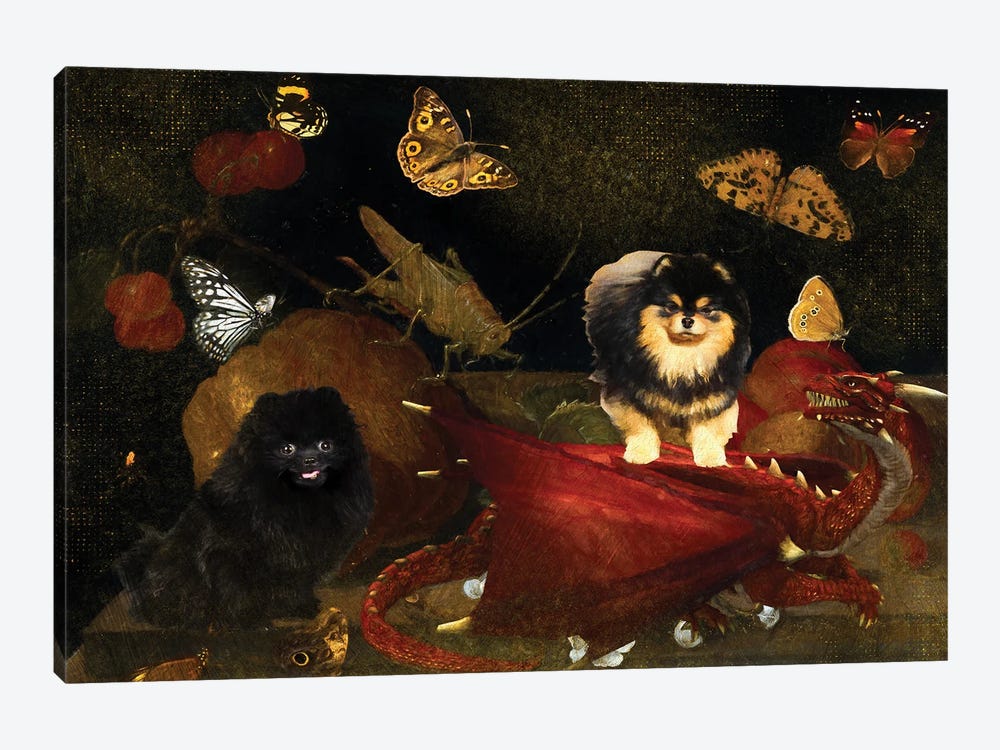 Pomeranian Still Life With Fruits And Dragon by Nobility Dogs 1-piece Canvas Art