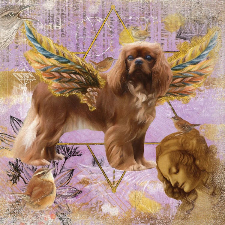 Ruby Cavalier King Charles Spaniel Angel Da Vinci