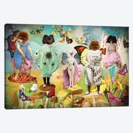 Pomeranian Fairy Queen Canvas Print #NDG1402} by Nobility Dogs Art Print