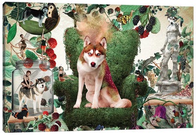 Siberian Husky Berry Paradise Canvas Art Print - Siberian Husky Art