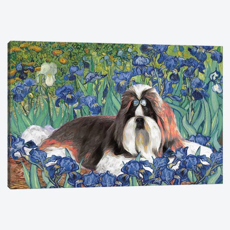 Shih Tzu Irises Canvas Print #NDG140} by Nobility Dogs Canvas Print